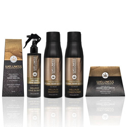 WELLNESS PREMIUM PRODUCTS Wellplex All In Set zestaw